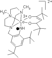 Aminylradikalkomplex
