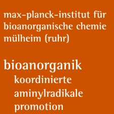 Promotion in Bioanorganik